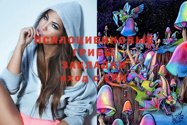 2c-b Михайловск