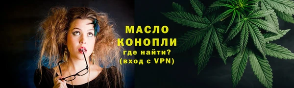 индика Михайлов