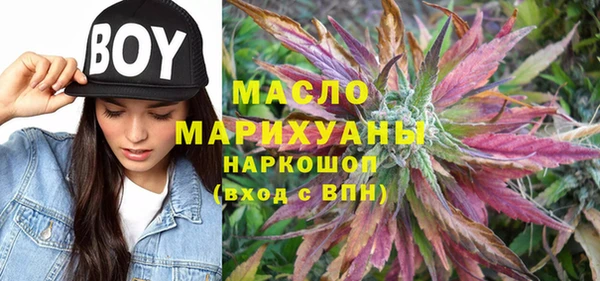 индика Михайлов