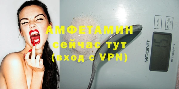 индика Михайлов