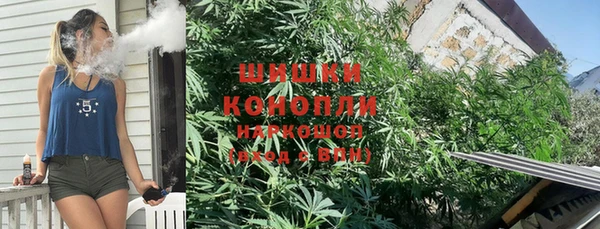 индика Михайлов