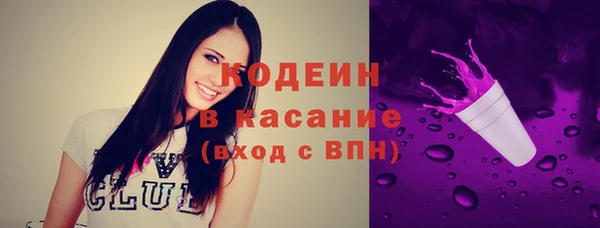 индика Михайлов
