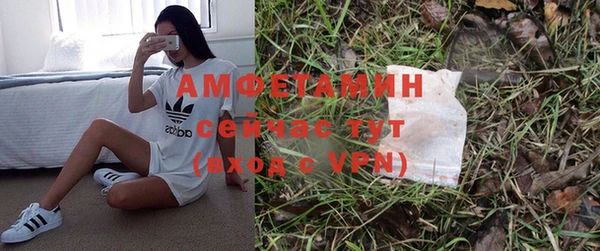 индика Михайлов