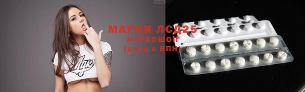индика Михайлов