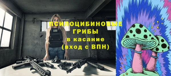 шишки Мурманск