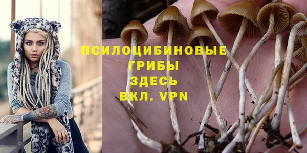 индика Михайлов