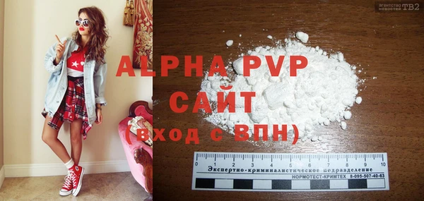 индика Михайлов