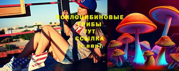 2c-b Михайловск