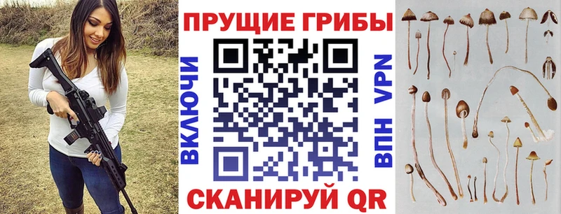 Псилоцибиновые грибы GOLDEN TEACHER  купить наркоту  Углегорск 